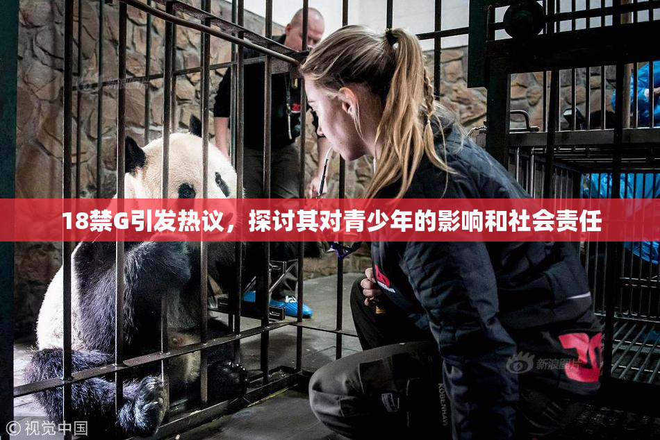 18禁G引发热议，探讨其对青少年的影响和社会责任