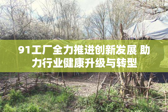 91工厂全力推进创新发展 助力行业健康升级与转型