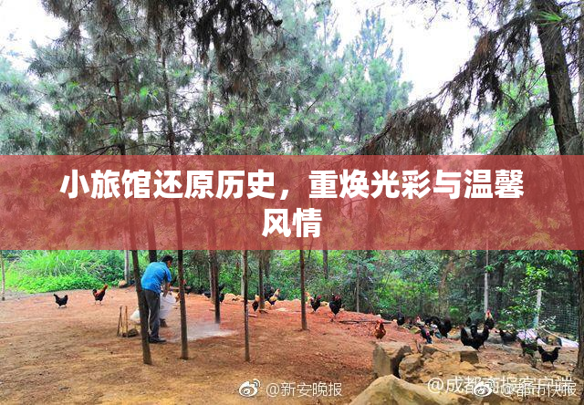 小旅馆还原历史，重焕光彩与温馨风情