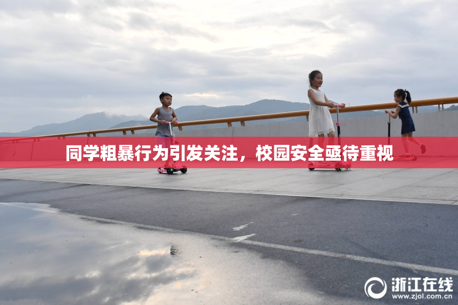 同学粗暴行为引发关注，校园安全亟待重视
