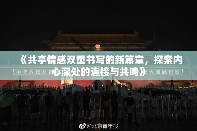 《共享情感双重书写的新篇章，探索内心深处的连接与共鸣》