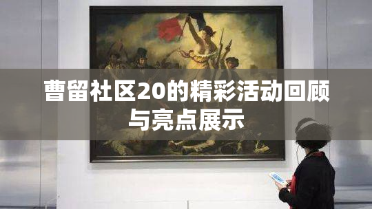 曹留社区20的精彩活动回顾与亮点展示