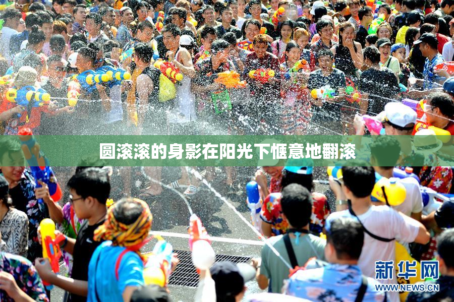 圆滚滚的身影在阳光下惬意地翻滚