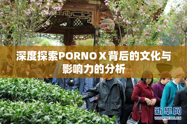 深度探索PORNOⅩ背后的文化与影响力的分析