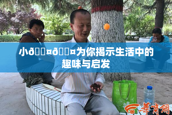 小🐤🐤为你揭示生活中的趣味与启发