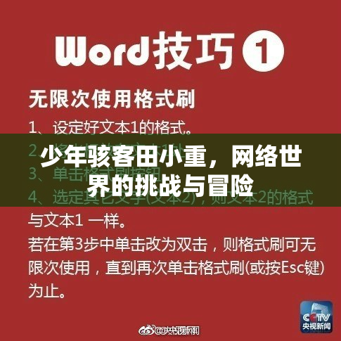 少年骇客田小重，网络世界的挑战与冒险