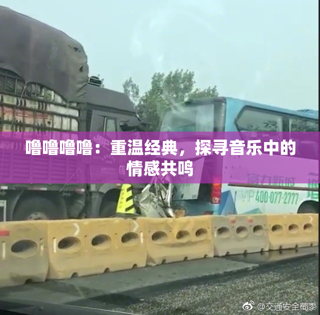 噜噜噜噜：重温经典，探寻音乐中的情感共鸣