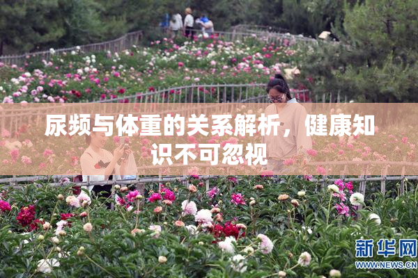 尿频与体重的关系解析，健康知识不可忽视