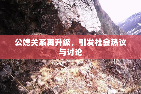 公媳关系再升级，引发社会热议与讨论