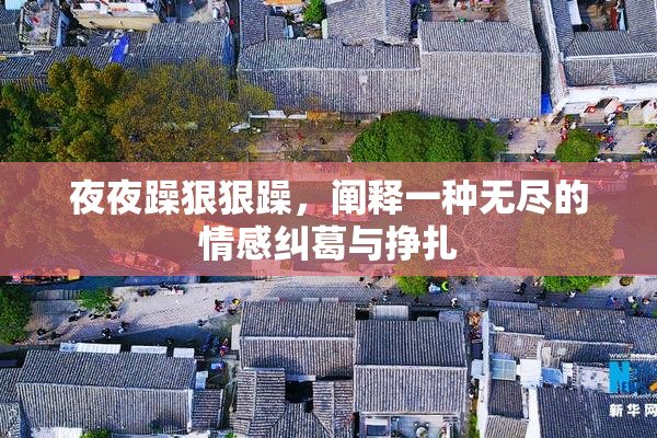 夜夜躁狠狠躁，阐释一种无尽的情感纠葛与挣扎