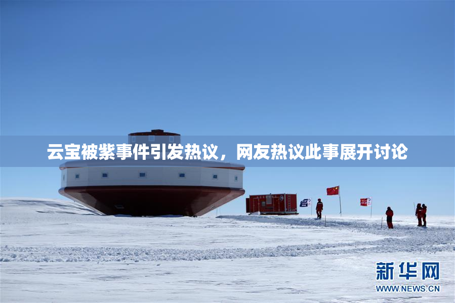 云宝被紫事件引发热议，网友热议此事展开讨论
