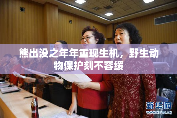 熊出没之年年重现生机，野生动物保护刻不容缓