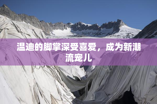 温迪的脚掌深受喜爱，成为新潮流宠儿