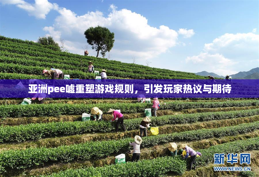 亚洲pee嘘重塑游戏规则，引发玩家热议与期待