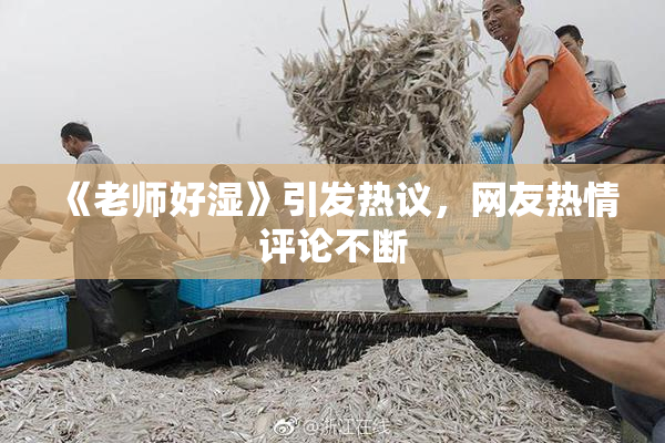 《老师好湿》引发热议，网友热情评论不断