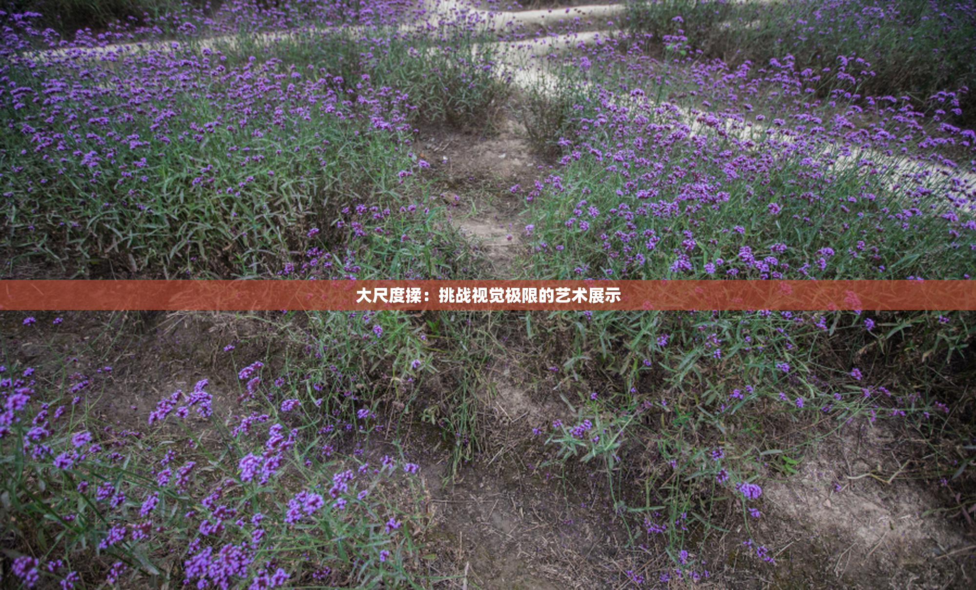 大尺度揉：挑战视觉极限的艺术展示