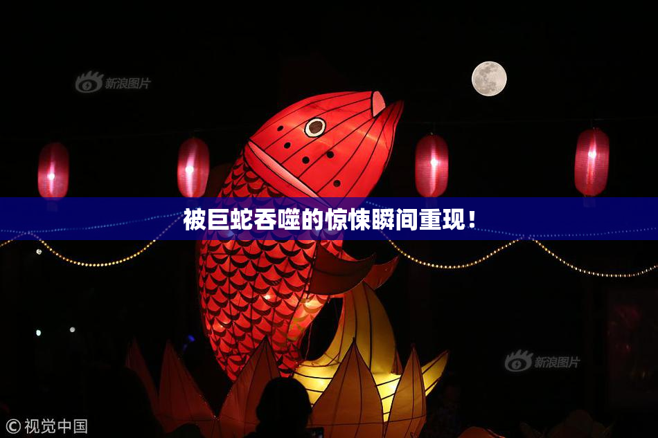 被巨蛇吞噬的惊悚瞬间重现！