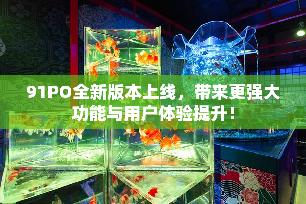 91PO全新版本上线，带来更强大功能与用户体验提升！