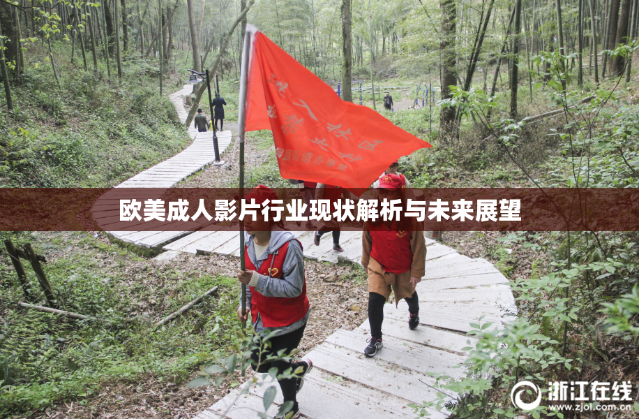 欧美成人影片行业现状解析与未来展望