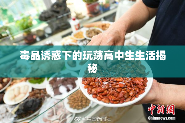 毒品诱惑下的玩荡高中生生活揭秘