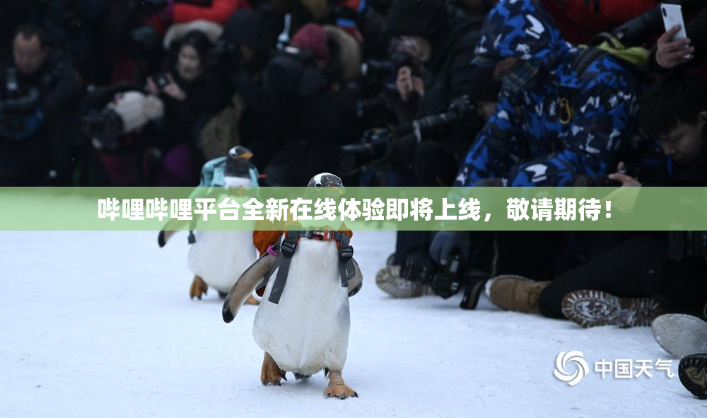 哔哩哔哩平台全新在线体验即将上线，敬请期待！