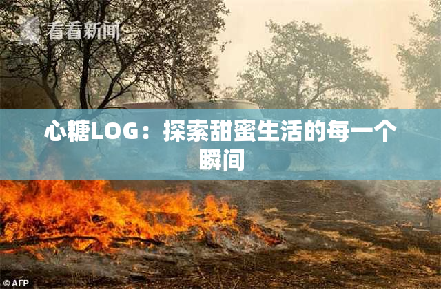 心糖LOG：探索甜蜜生活的每一个瞬间