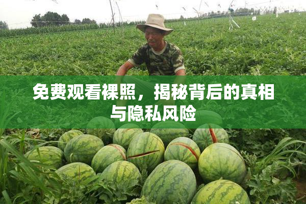 免费观看裸照，揭秘背后的真相与隐私风险