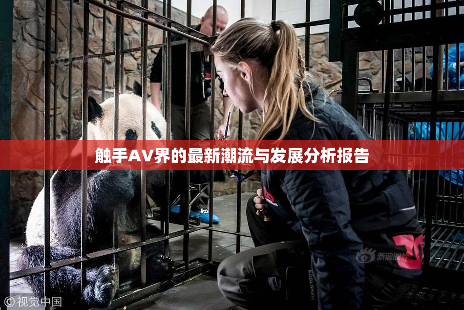 触手AV界的最新潮流与发展分析报告