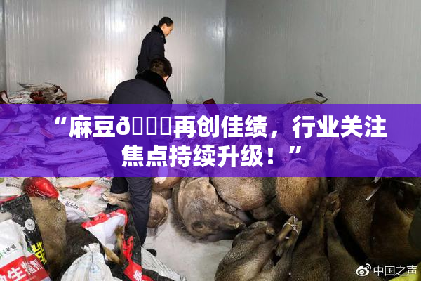 “麻豆🔞再创佳绩，行业关注焦点持续升级！”