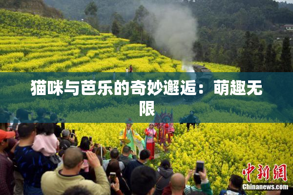 猫咪与芭乐的奇妙邂逅：萌趣无限