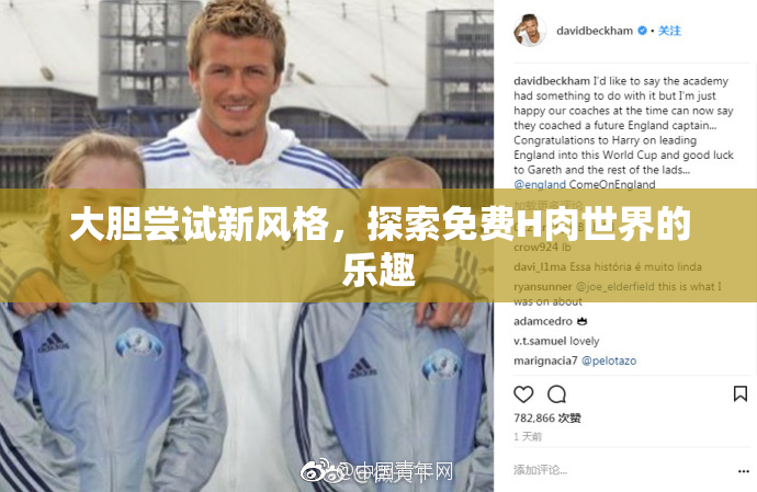 大胆尝试新风格，探索免费H肉世界的乐趣