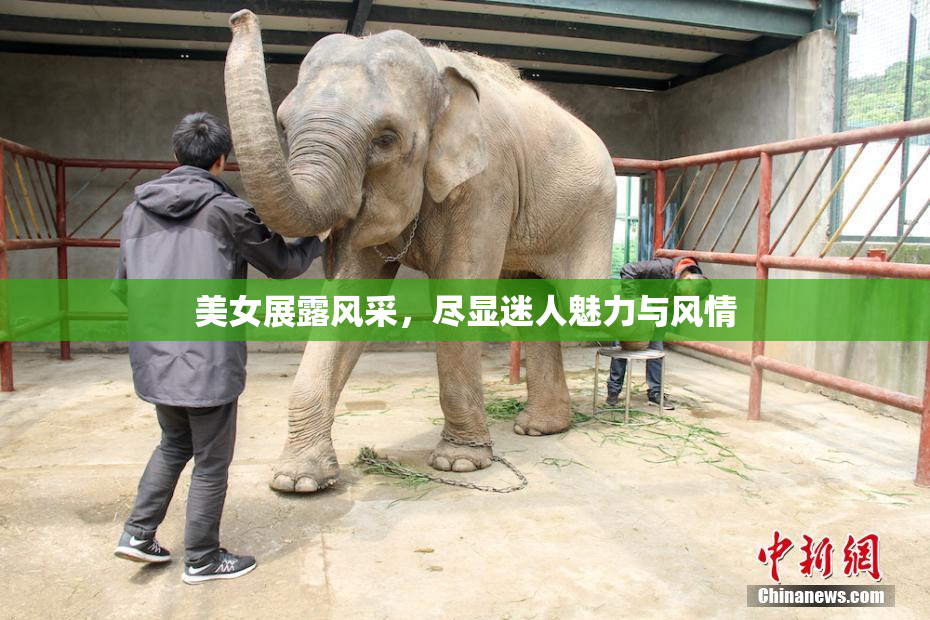 美女展露风采，尽显迷人魅力与风情
