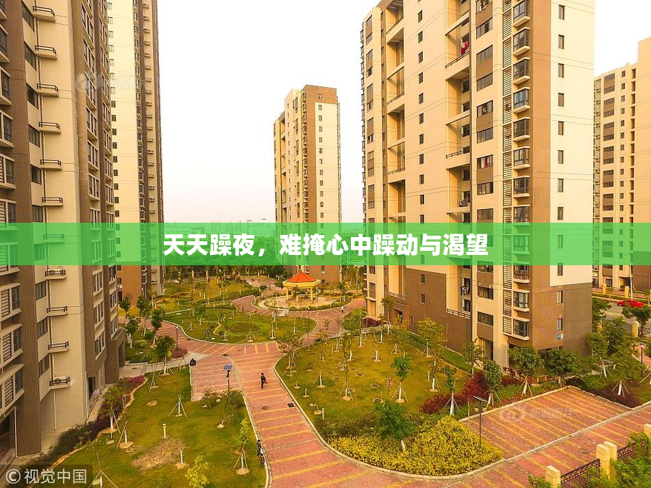 天天躁夜，难掩心中躁动与渴望