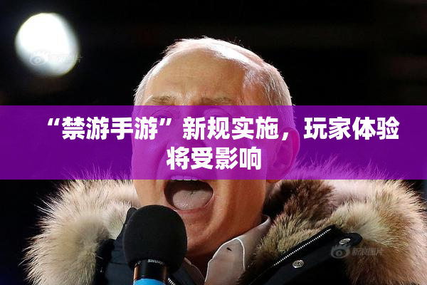 “禁游手游”新规实施，玩家体验将受影响