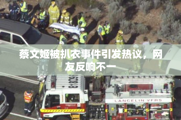 蔡文姬被扒衣事件引发热议，网友反响不一
