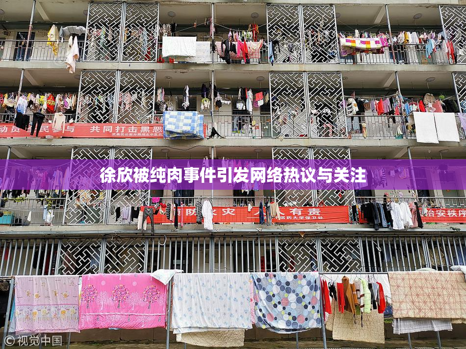 徐欣被纯肉事件引发网络热议与关注