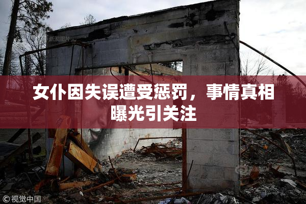 女仆因失误遭受惩罚，事情真相曝光引关注