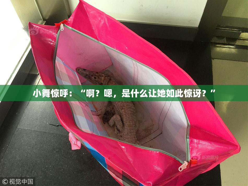 小舞惊呼：“啊？嗯，是什么让她如此惊讶？”