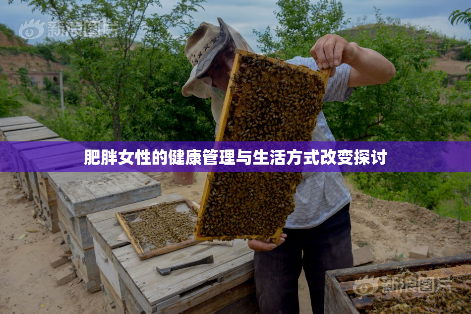肥胖女性的健康管理与生活方式改变探讨