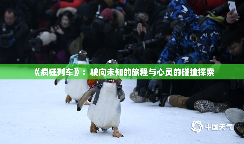 《疯狂列车》：驶向未知的旅程与心灵的碰撞探索