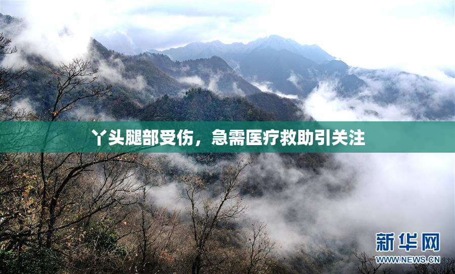 丫头腿部受伤，急需医疗救助引关注