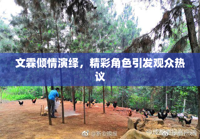 文霖倾情演绎，精彩角色引发观众热议