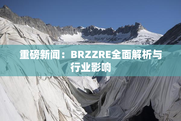 重磅新闻：BRZZRE全面解析与行业影响