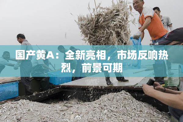 国产黄A：全新亮相，市场反响热烈，前景可期