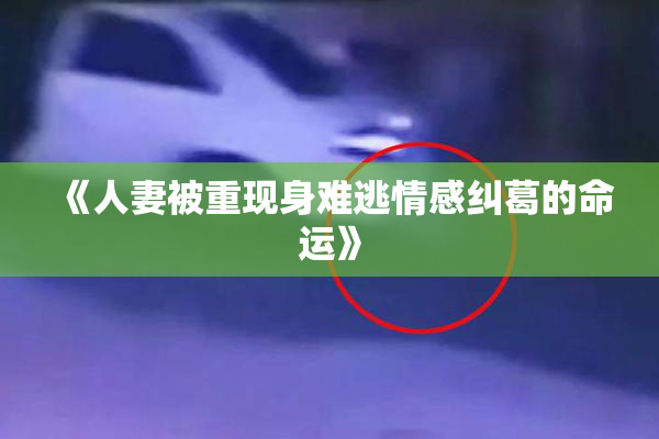 《人妻被重现身难逃情感纠葛的命运》