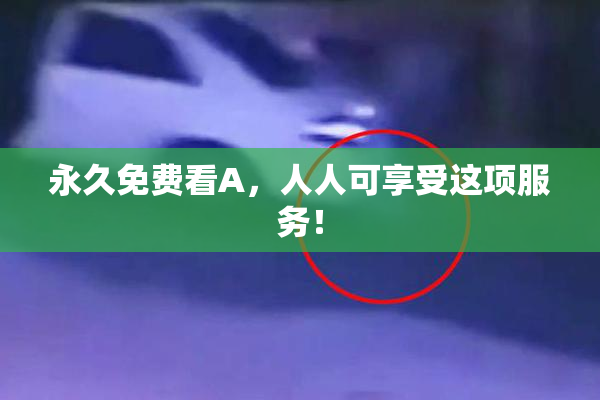 永久免费看A，人人可享受这项服务！