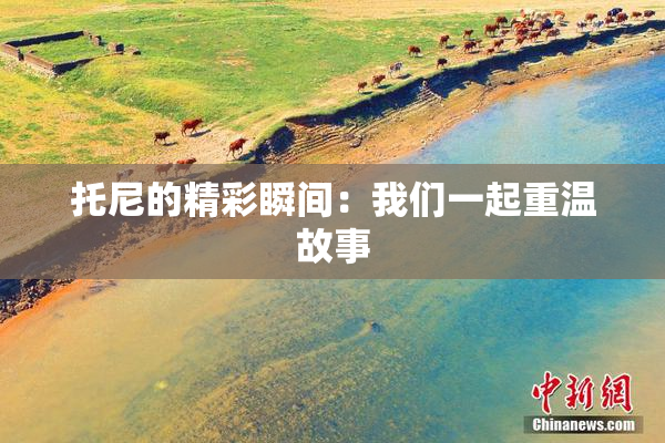 托尼的精彩瞬间：我们一起重温故事