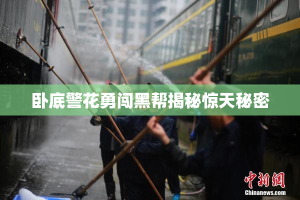 卧底警花勇闯黑帮揭秘惊天秘密