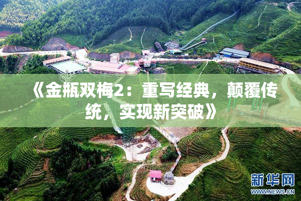 《金瓶双梅2：重写经典，颠覆传统，实现新突破》