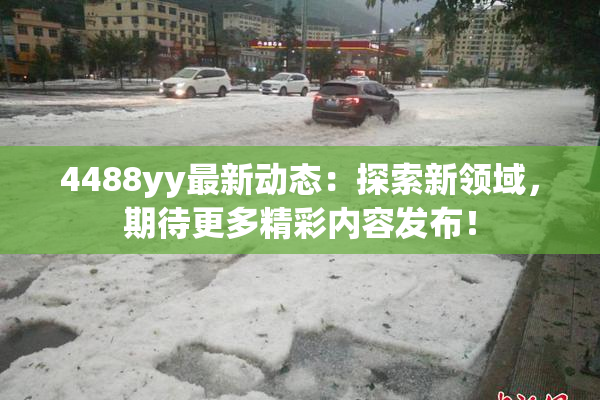 4488yy最新动态：探索新领域，期待更多精彩内容发布！
